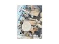 Engine Fiat 1100 type 103g005 - Motoren (Komplettmotoren) - Bild 2