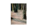 4210D T114 Landschaft Bild - Gemlde & Zeichnungen - Bild 2