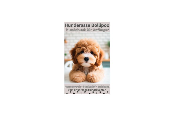 Der Bollipoo Ratgeber Hundebuch Pflege - Krbe, Betten & Decken - Bild 1