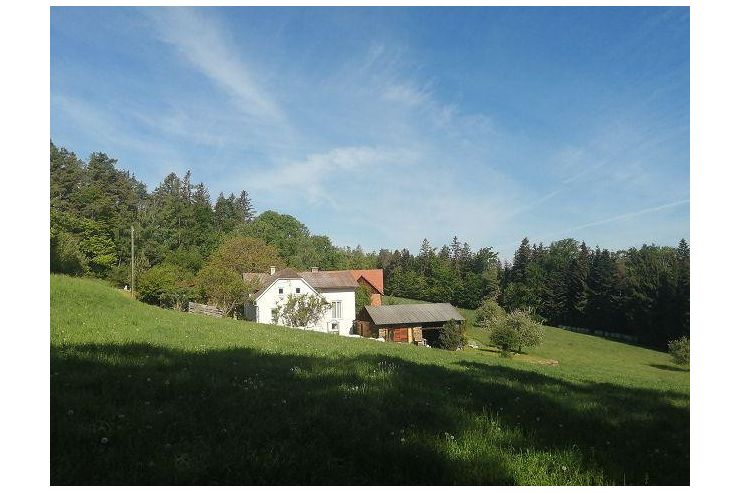 Alleinlage Naturliebhaber - Haus kaufen - Bild 1