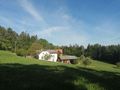 Alleinlage Naturliebhaber - Haus kaufen - Bild 1