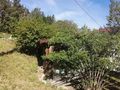 Alleinlage Naturliebhaber - Haus kaufen - Bild 5