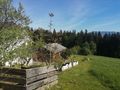 Alleinlage Naturliebhaber - Haus kaufen - Bild 6