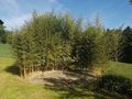 Alleinlage Naturliebhaber - Haus kaufen - Bild 8