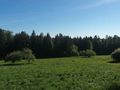 Alleinlage Naturliebhaber - Haus kaufen - Bild 10