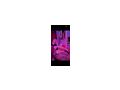ROXY 22 NEU IN WIEN - Sie sucht Ihn - Bild 3