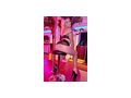 STUDIO LA CHICA LOUNGE WILLKOMMEN IM PARADIES - Sie sucht Ihn - Bild 7