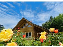 Tolles Neubauhaus absoluter Ruhelage - Haus kaufen - Bild 1