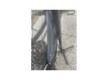 BMC Speedfox AMP one Gre L - Elektro Fahrrder (E-Bikes) - Bild 3