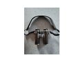 Swarovki CL Companion 10x30 - Fernglser & Optik - Bild 4