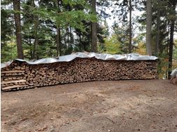 Brennholz verkaufen - Holzverarbeitung - Bild 1