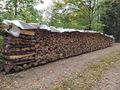 Brennholz verkaufen - Holzverarbeitung - Bild 2
