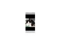 Kater - Mischlingskatzen - Bild 10