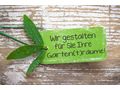 Gartenplanung Gartenbau - Kleingrten - Bild 2