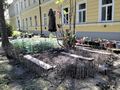 Wer Nhe - Freundschaft & Unternehmungen - Bild 2