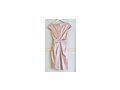 elegantes Designerkleid - Gren 36-38 / S - Bild 2