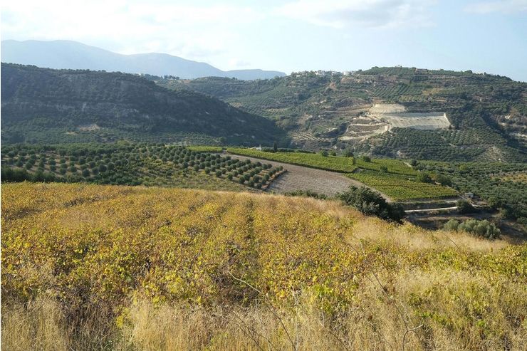 BAUGRUNDSTCK AUF KRETA MIT BAUGENEHMIGUNG - Grundstck kaufen - Bild 1