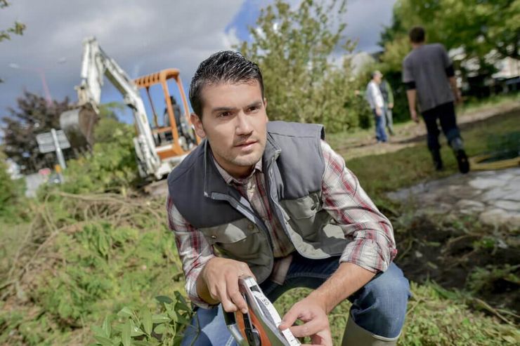 Gartenpflege Wien Umgebung - Gartendekoraktion - Bild 1