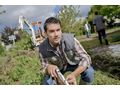 Gartenpflege Wien Umgebung - Gartendekoraktion - Bild 1