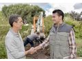 Gartenpflege Wien Umgebung - Gartendekoraktion - Bild 2