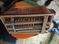 Steirische Harmonika verkaufen - Akkordeons & Harmonikas - Bild 9