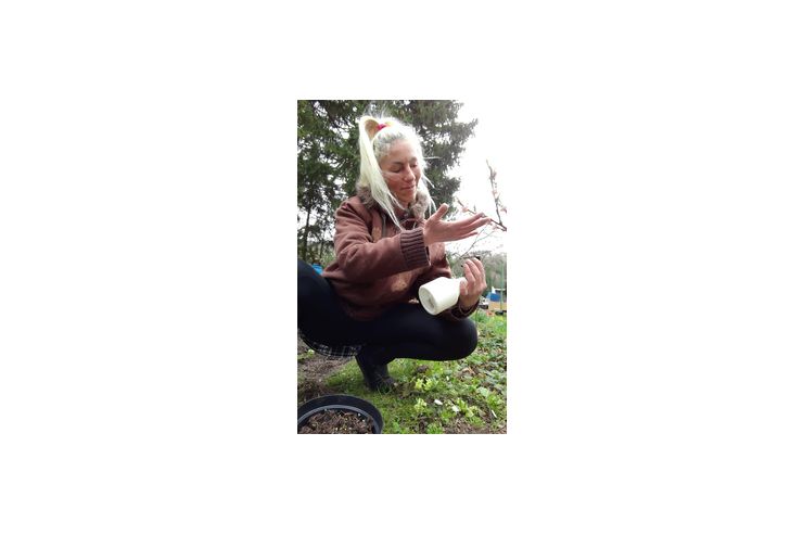 Fr Verlags anbieten - Musik, Foto & Kunst - Bild 1