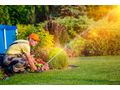 Rollrasen verlegen Bewsserungssystem - Gartendekoraktion - Bild 1