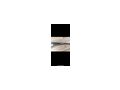 Recurvebogen Bodnik Bow Black Kiowa - Bogenschieen - Bild 2