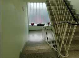 Wohnung 47m Bad Tatzmannsdorf - Wohnung mieten - Bild 1