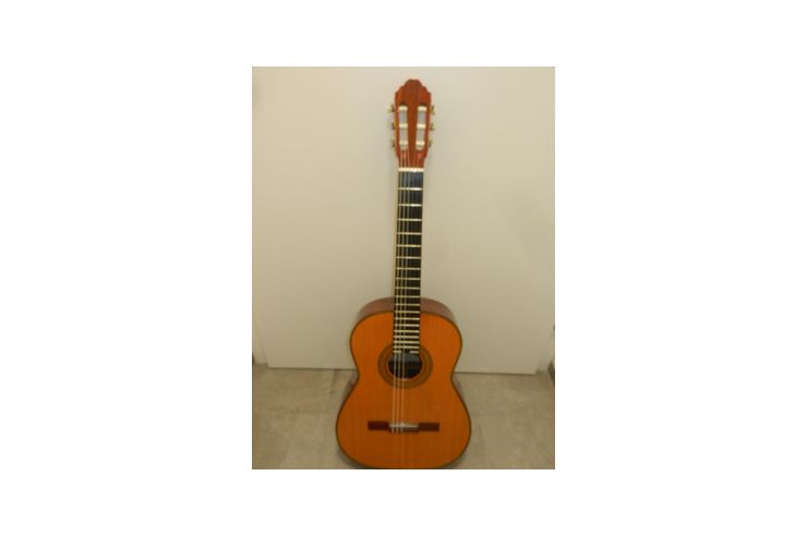 Meistergitarre Dieter Hopf Koffer - Gitarren (akustisch) - Bild 1