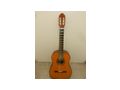 Meistergitarre Dieter Hopf Koffer - Gitarren (akustisch) - Bild 1