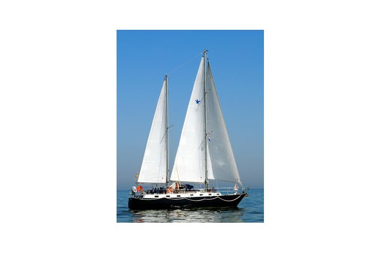 Rasbora 42 Ketch luxuris langfahrtbereit - Segelboote - Bild 1