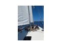 Rasbora 42 Ketch luxuris langfahrtbereit - Segelboote - Bild 11