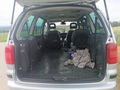Seat Alhambra - Autos Seat - Bild 11