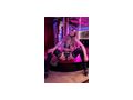 ESCORTGIRLS WIEN VIENNAS BEST ESCORTSERVICE - Erotik Escort - Bild 7