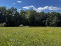 Sonniges Grundstck Einklang Natur - Grundstck kaufen - Bild 3