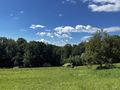 Sonniges Grundstck Einklang Natur - Grundstck kaufen - Bild 4