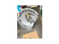 Gearbox for Maserati Biturbo - Getriebe - Bild 9