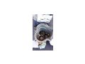 Rear gearbox housing ZF S5 17 - Getriebe - Bild 3