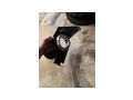 Offener Sportliftfiltersatz Suzuki Ltr 450 - Motorrad-Teile - Bild 5