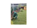 Gartenpflege Dienstleistung - Gartendekoraktion - Bild 1