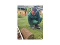 Gartenpflege Dienstleistung - Gartendekoraktion - Bild 3
