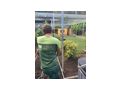 Gartenpflege Dienstleistung - Gartendekoraktion - Bild 5