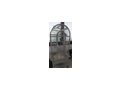 2xSingsittiche m w Voliere verfgbar - Sittiche - Bild 2