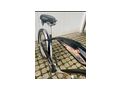 Beach Cruiser Marke ELECTRA USA - Citybikes, Hollandrder & Cruiser - Bild 2
