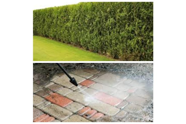 Gartenpflege - Kleingrten - Bild 1