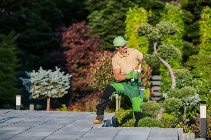 Gartenpflege Wien - Gartendekoraktion - Bild 1