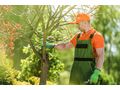 Gartenpflege Wien - Gartendekoraktion - Bild 2