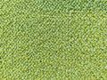 Frische grne Interface Teppichfliesen ANGEBOT - Teppiche - Bild 3