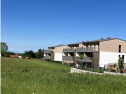 Sonnige Wohnung samt Garten Carport Tiefgsp - Wohnung kaufen - Bild 1
